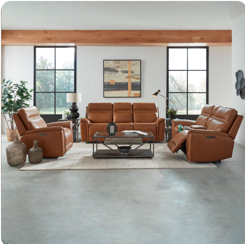 Leather Sofas