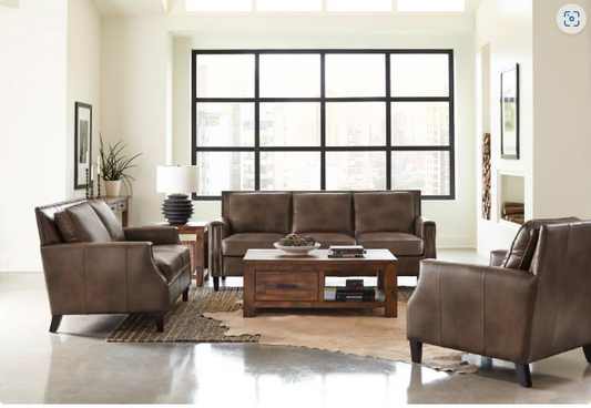 Leather Sofas