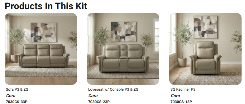 Reclining Furniture